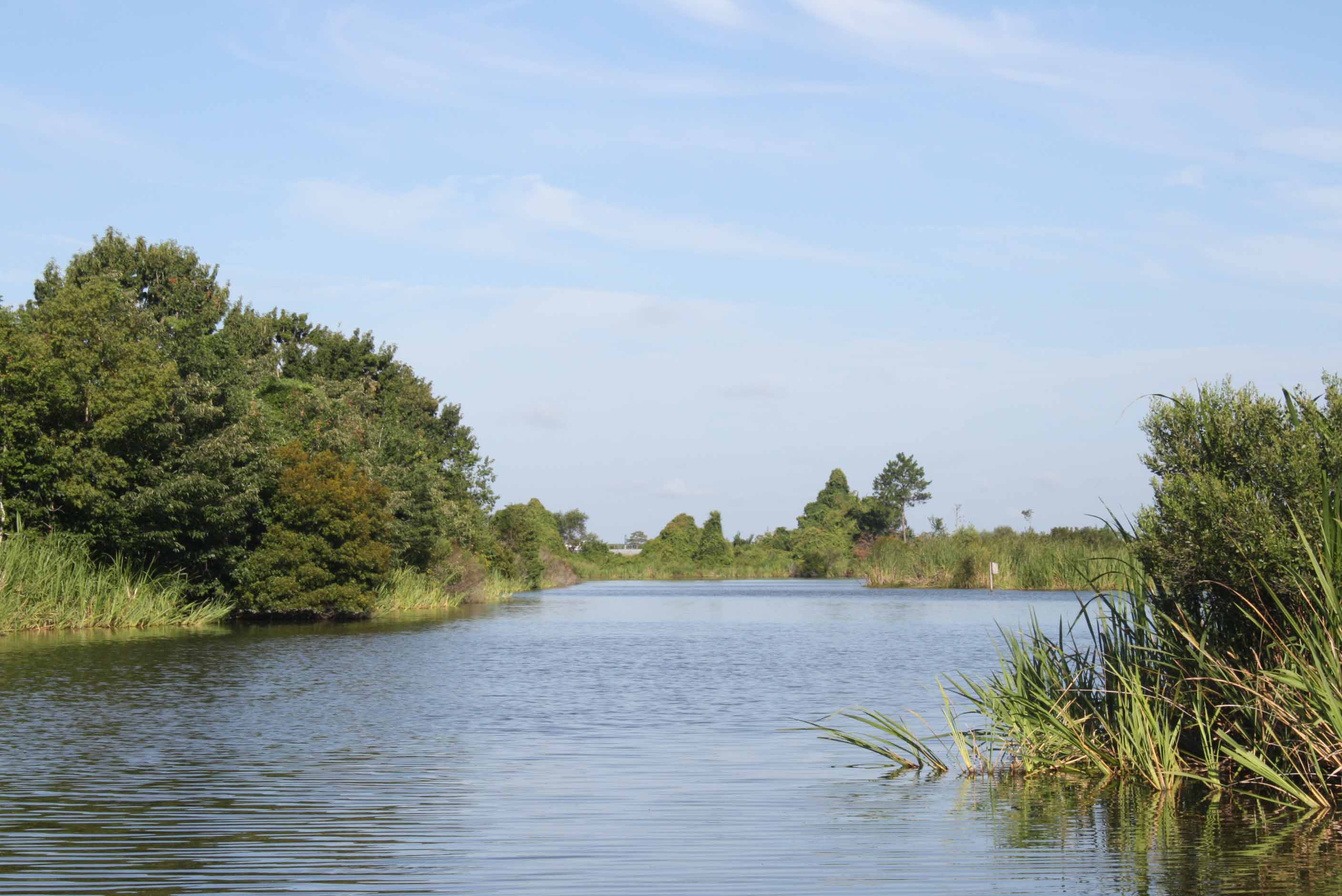 History of the Altamaha